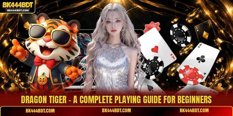 Dragon Tiger - A Complete Playing Guide For Beginners