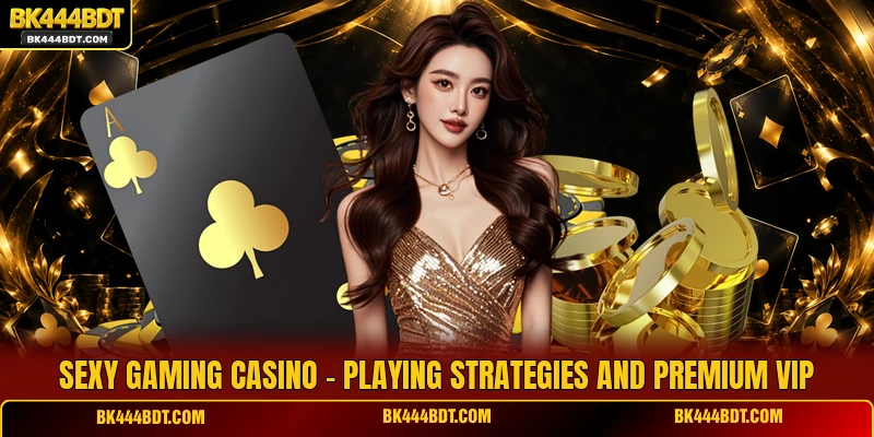 Sexy Gaming Casino - Playing Strategies And Premium VIP